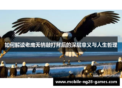 如何解读老鹰无情敲打背后的深层意义与人生哲理