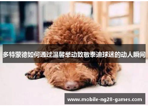 多特蒙德如何通过温馨举动致敬泰迪球迷的动人瞬间