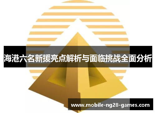 海港六名新援亮点解析与面临挑战全面分析
