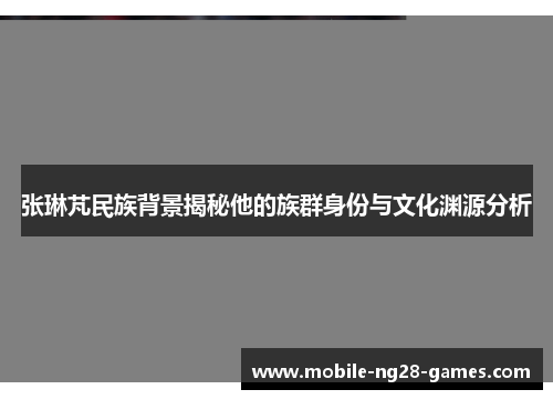 张琳芃民族背景揭秘他的族群身份与文化渊源分析