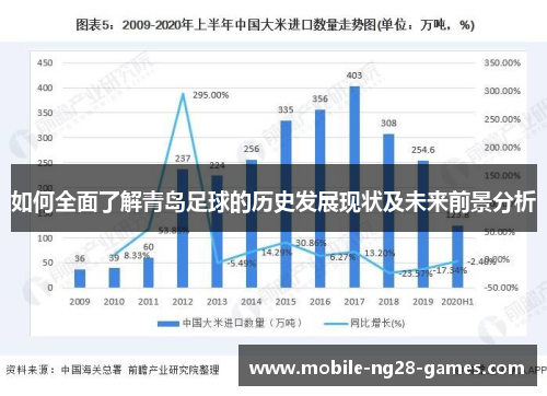 如何全面了解青岛足球的历史发展现状及未来前景分析