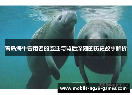 青岛海牛曾用名的变迁与背后深刻的历史故事解析