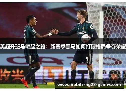 英超升班马崛起之路:新赛季黑马如何打破格局争夺荣耀 英超升班马崛起之路:新赛季黑马如何打破格局争夺荣耀